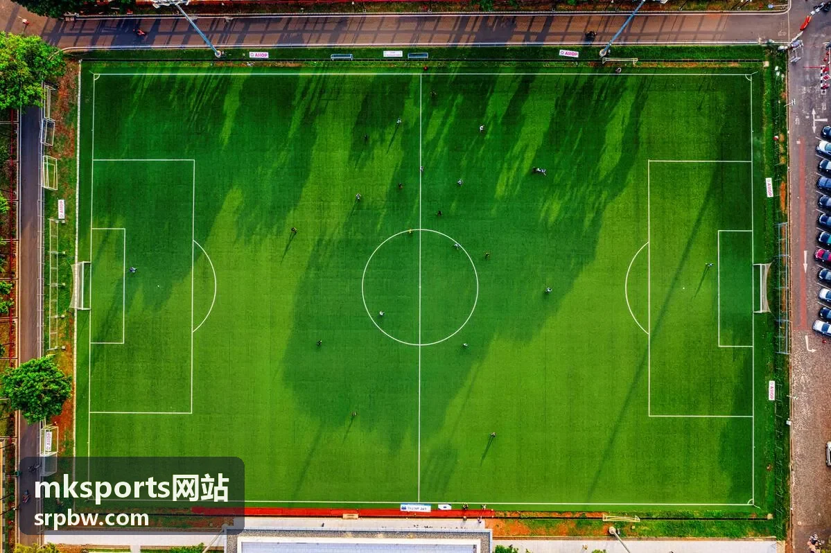 mksports网站训练课程排期内容封面